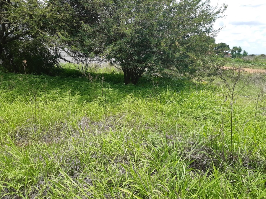 0 Bedroom Property for Sale in Magna Via Industrial Limpopo