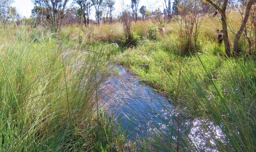 0 Bedroom Property for Sale in Vaalwater Limpopo