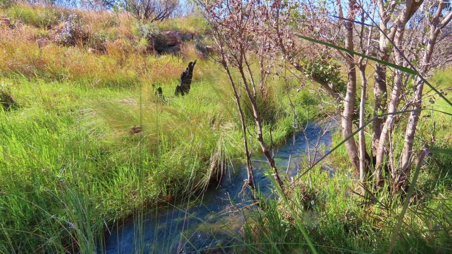 0 Bedroom Property for Sale in Vaalwater Limpopo