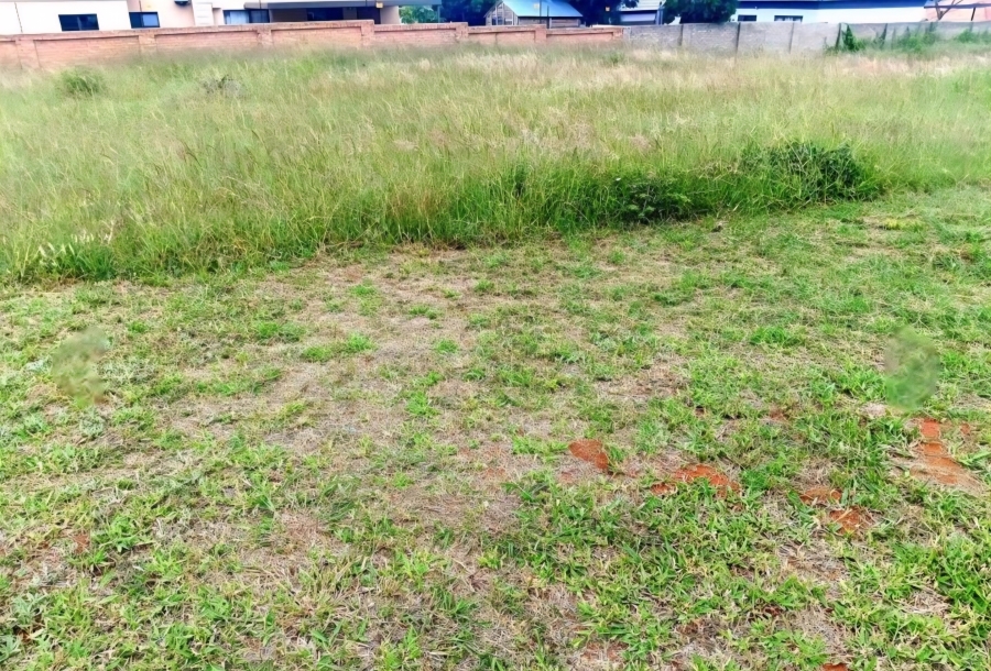 0 Bedroom Property for Sale in Bendor Limpopo