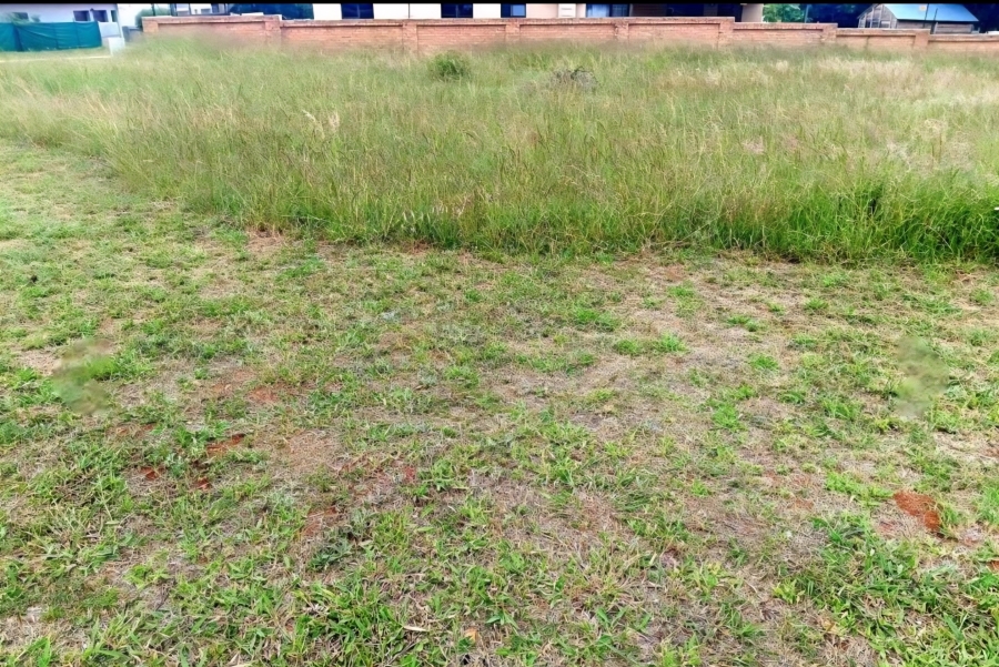 0 Bedroom Property for Sale in Bendor Limpopo