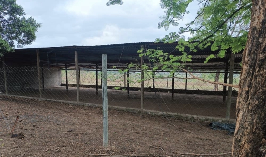 3 Bedroom Property for Sale in Tzaneen Rural Limpopo