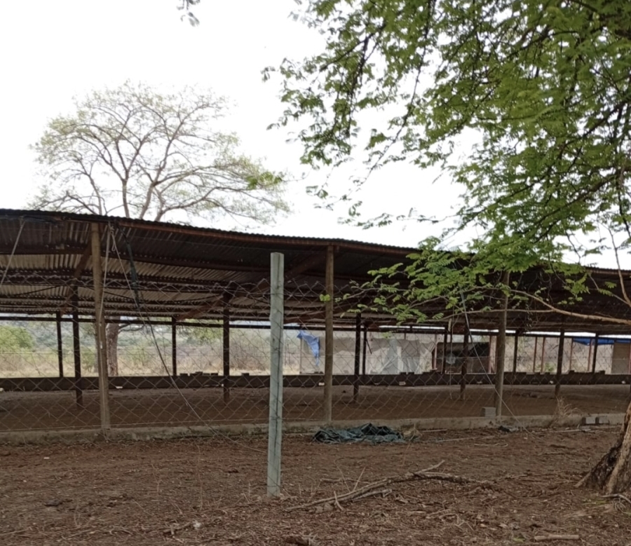 3 Bedroom Property for Sale in Tzaneen Rural Limpopo