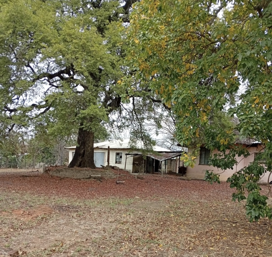 3 Bedroom Property for Sale in Tzaneen Rural Limpopo