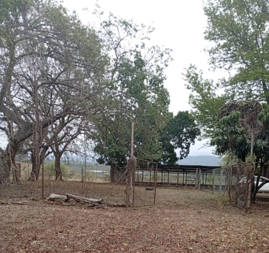 3 Bedroom Property for Sale in Tzaneen Rural Limpopo
