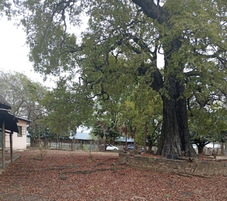 3 Bedroom Property for Sale in Tzaneen Rural Limpopo