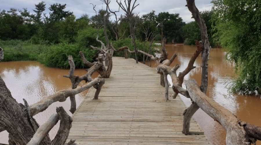 3 Bedroom Property for Sale in Tzaneen Rural Limpopo