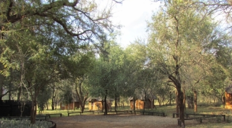 3 Bedroom Property for Sale in Tzaneen Rural Limpopo