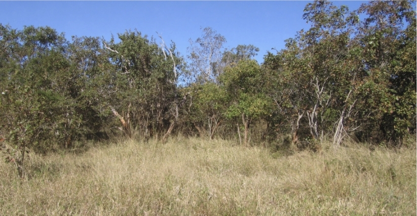 3 Bedroom Property for Sale in Tzaneen Rural Limpopo