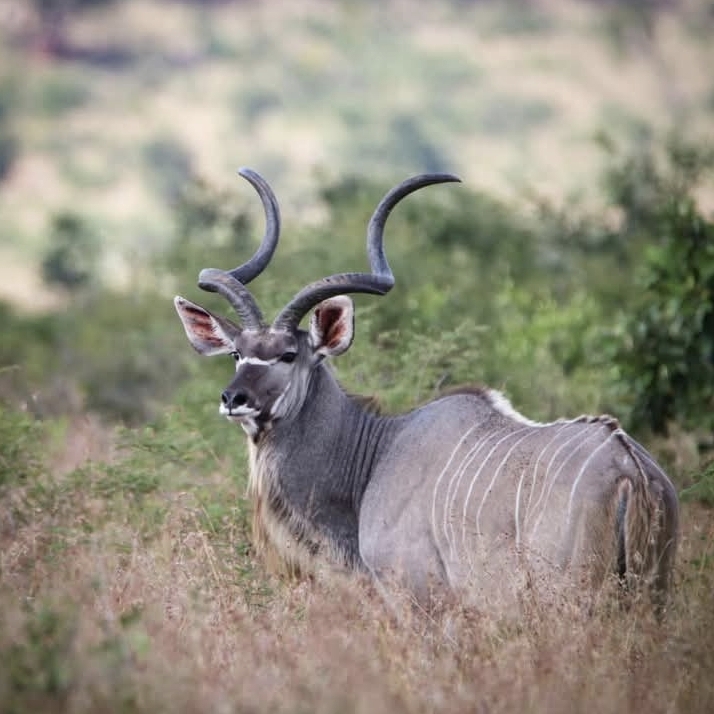 3 Bedroom Property for Sale in Tzaneen Rural Limpopo