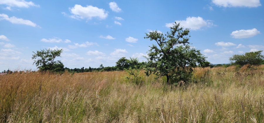 10 Bedroom Property for Sale in Myngenoegen A H Limpopo