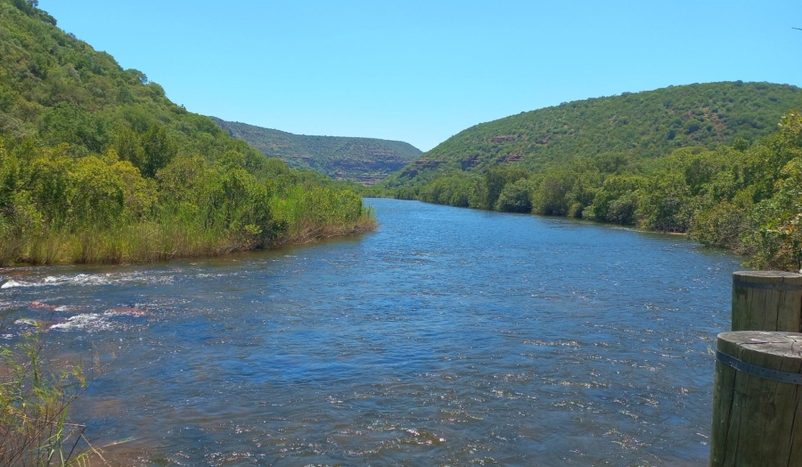 0 Bedroom Property for Sale in Vaalwater Limpopo