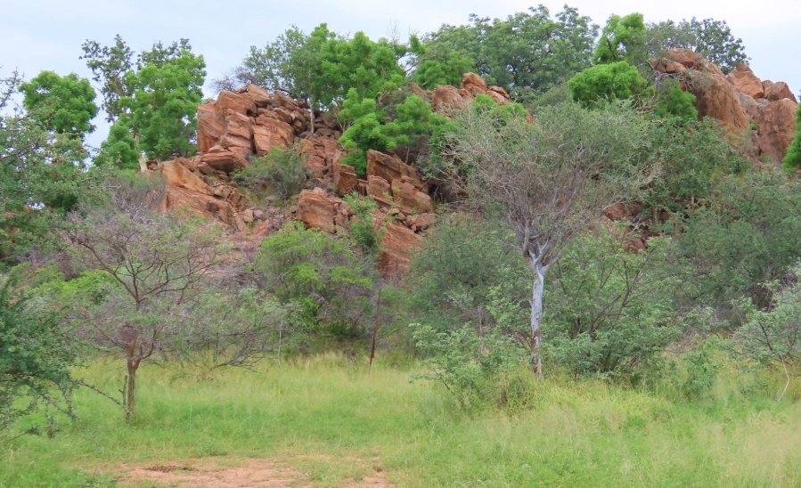 6 Bedroom Property for Sale in Alldays Limpopo