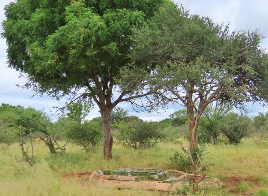 6 Bedroom Property for Sale in Alldays Limpopo