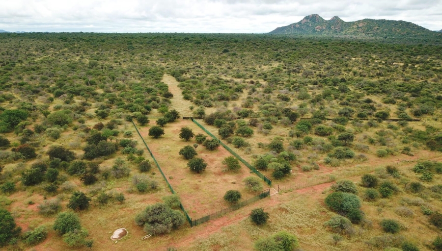 6 Bedroom Property for Sale in Alldays Limpopo