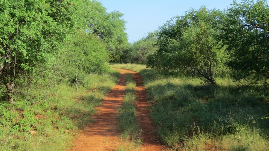 0 Bedroom Property for Sale in Alldays Limpopo