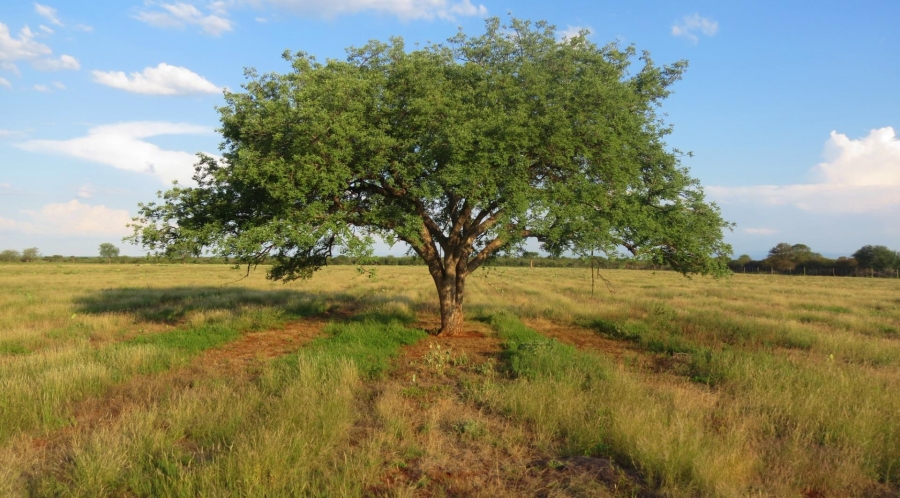 0 Bedroom Property for Sale in Alldays Limpopo