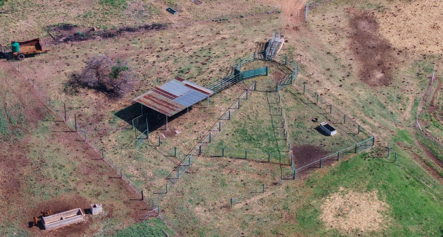 6 Bedroom Property for Sale in Vaalwater Limpopo