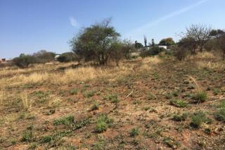 0 Bedroom Property for Sale in Bendor Limpopo