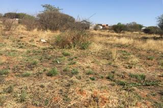 0 Bedroom Property for Sale in Bendor Limpopo