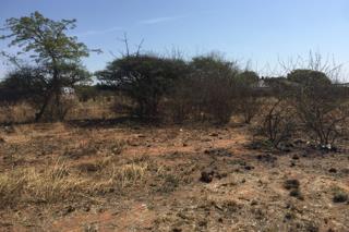 0 Bedroom Property for Sale in Bendor Limpopo