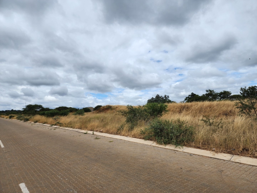 0 Bedroom Property for Sale in Magna Via Industrial Limpopo