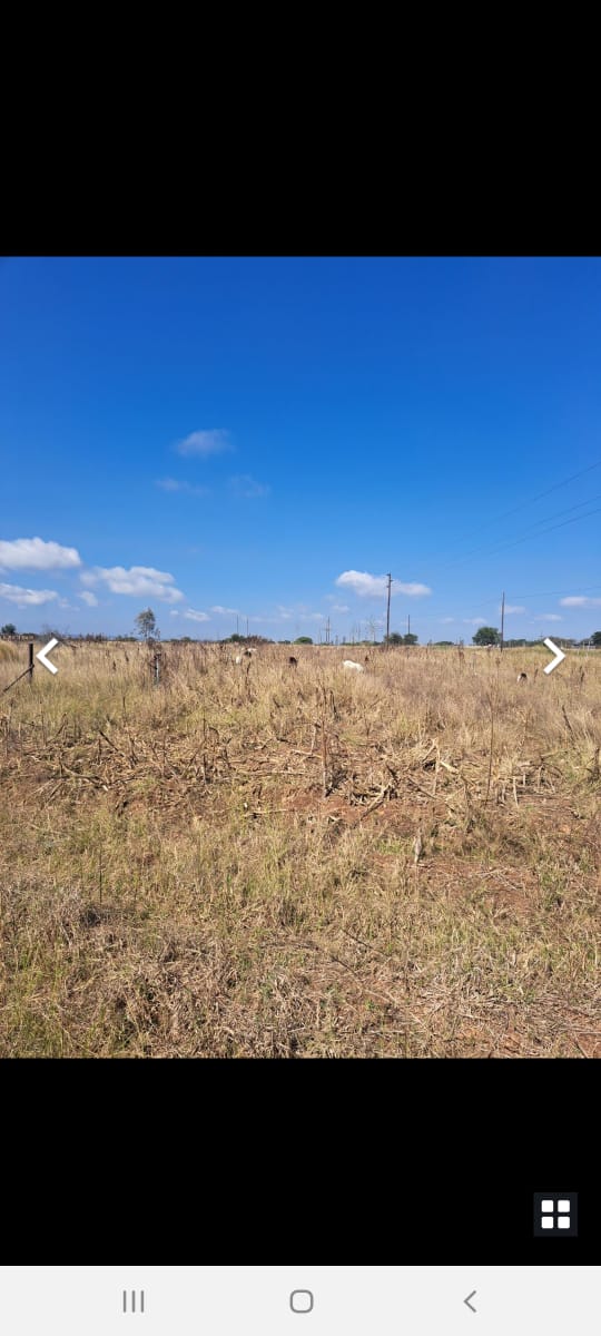 To Let 7 Bedroom Property for Rent in Dendron Limpopo