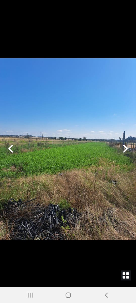 To Let 7 Bedroom Property for Rent in Dendron Limpopo