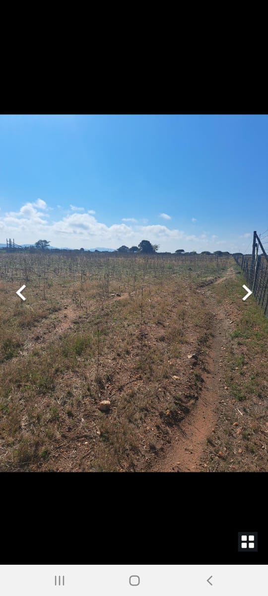To Let 7 Bedroom Property for Rent in Dendron Limpopo