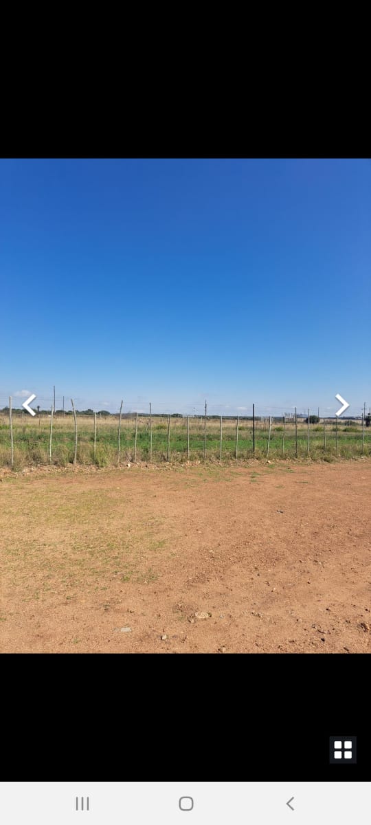 To Let 7 Bedroom Property for Rent in Dendron Limpopo