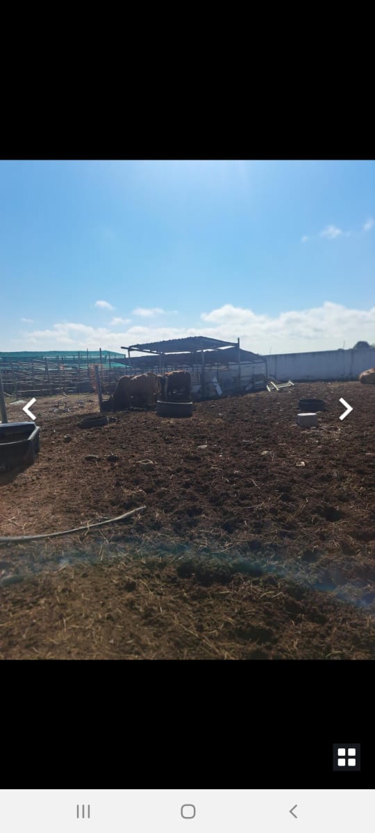 To Let 7 Bedroom Property for Rent in Dendron Limpopo