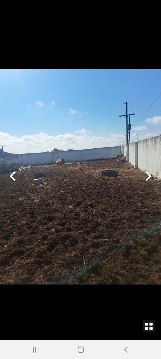 To Let 7 Bedroom Property for Rent in Dendron Limpopo