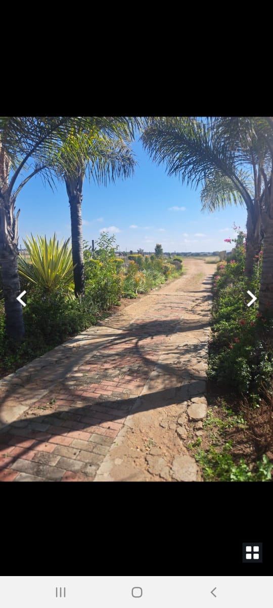 To Let 7 Bedroom Property for Rent in Dendron Limpopo
