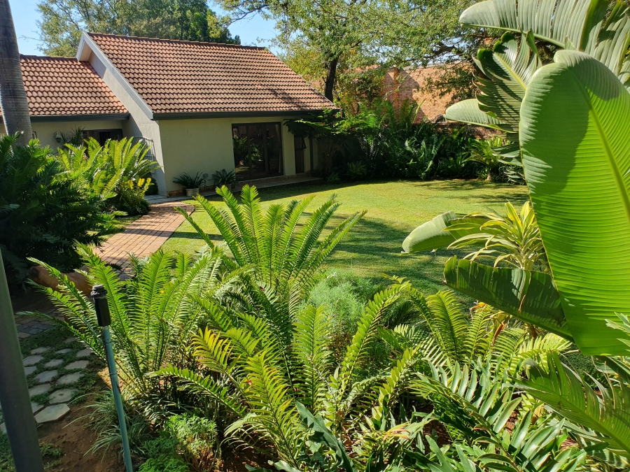 4 Bedroom Property for Sale in Groblersdal Limpopo