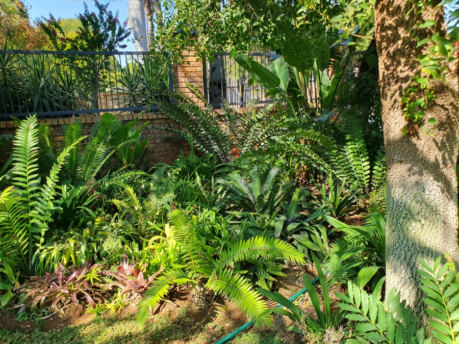 4 Bedroom Property for Sale in Groblersdal Limpopo
