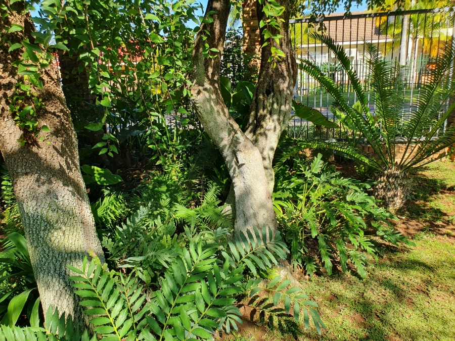 4 Bedroom Property for Sale in Groblersdal Limpopo