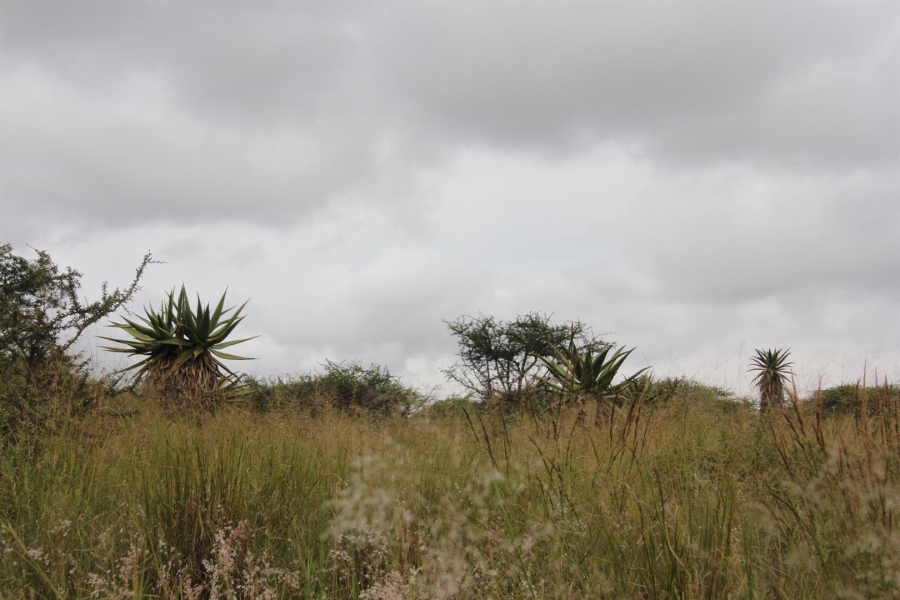 0 Bedroom Property for Sale in Bendor Limpopo