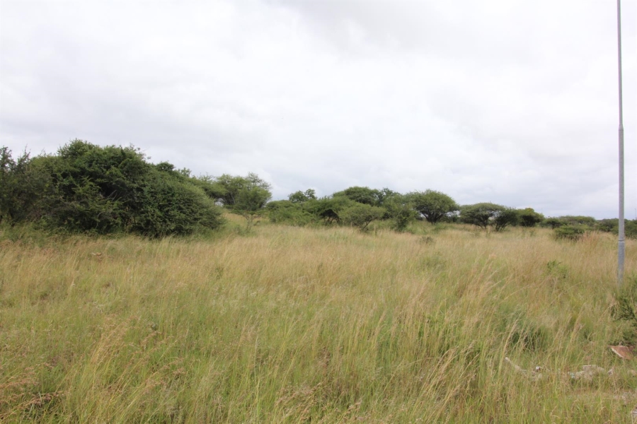 0 Bedroom Property for Sale in Bendor Limpopo