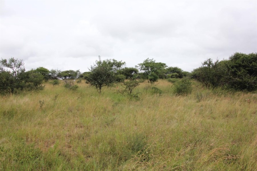0 Bedroom Property for Sale in Bendor Limpopo