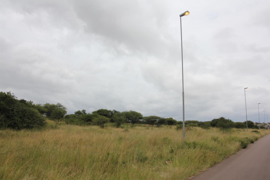 0 Bedroom Property for Sale in Bendor Limpopo