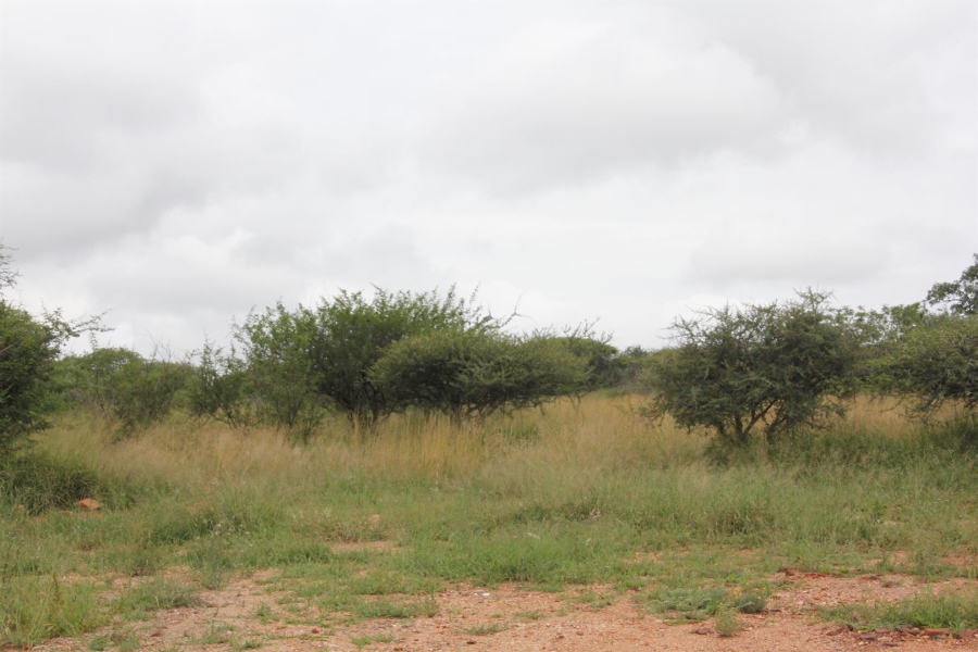0 Bedroom Property for Sale in Bendor Limpopo