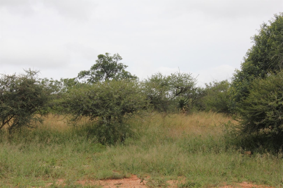0 Bedroom Property for Sale in Bendor Limpopo