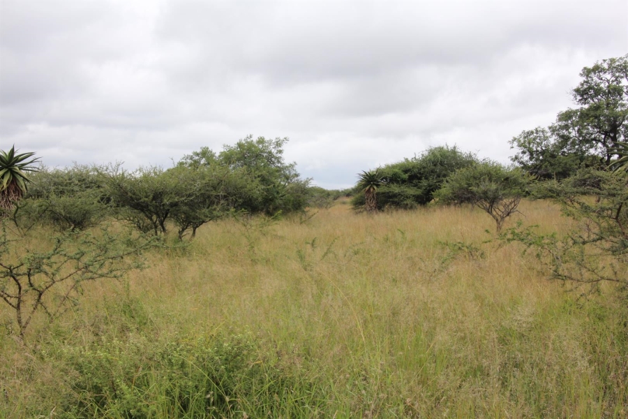0 Bedroom Property for Sale in Bendor Limpopo