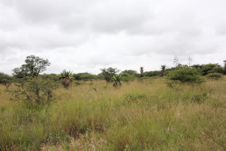 0 Bedroom Property for Sale in Bendor Limpopo