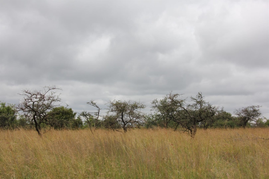 0 Bedroom Property for Sale in Bendor Limpopo