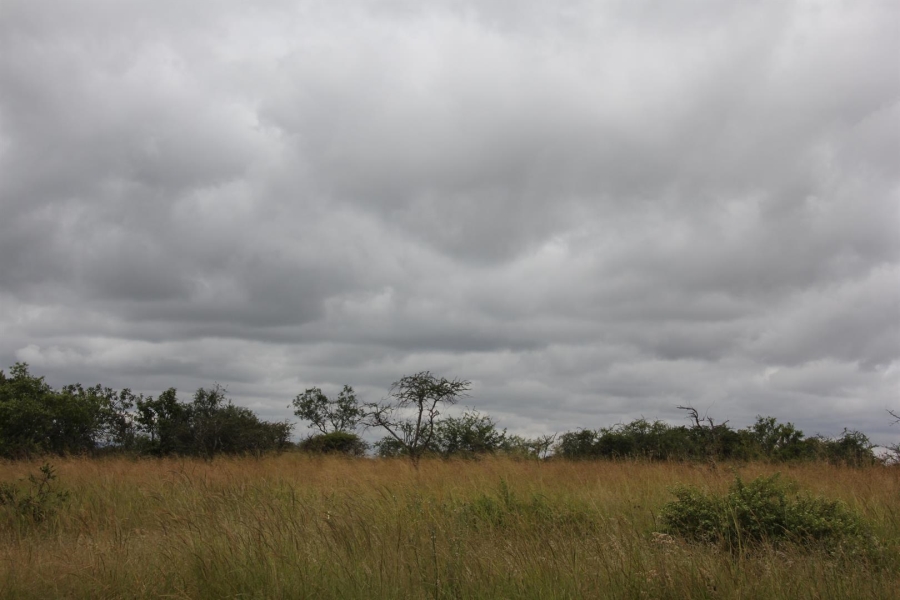 0 Bedroom Property for Sale in Bendor Limpopo