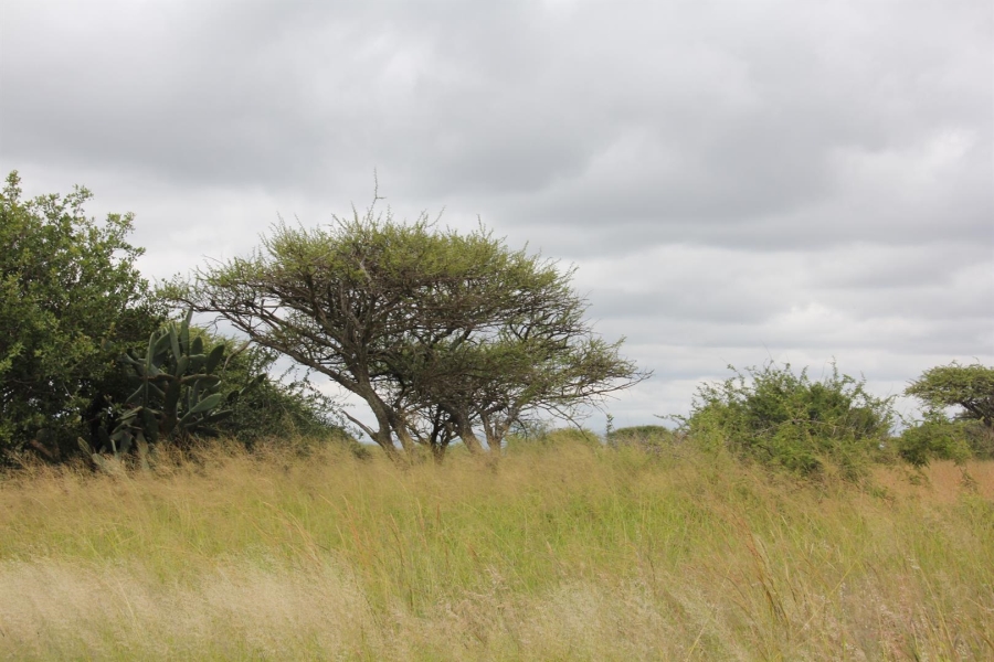 0 Bedroom Property for Sale in Bendor Limpopo