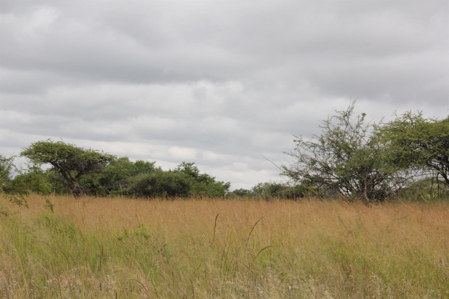 0 Bedroom Property for Sale in Bendor Limpopo