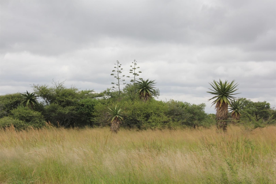 0 Bedroom Property for Sale in Bendor Limpopo