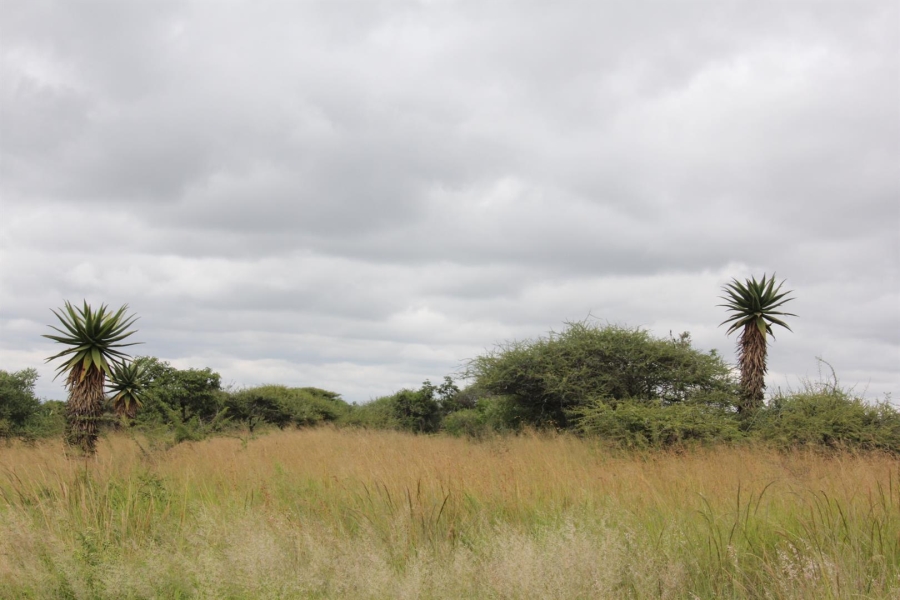 0 Bedroom Property for Sale in Bendor Limpopo